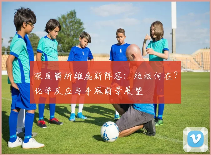 深度解析雄鹿新阵容：短板何在？化学反应与夺冠前景展望
