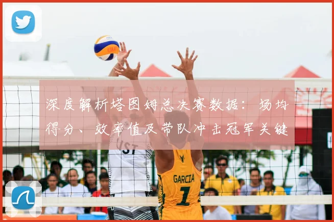 深度解析塔图姆总决赛数据：场均得分、效率值及带队冲击冠军关键表现